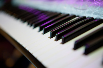 Electronic keyboard musical instrument synthesizer.