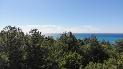 View of the sea and trees.