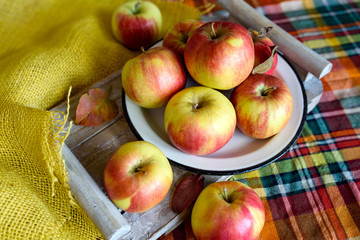 Red yellow apples on a plate on a table