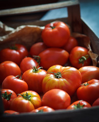 Fresh organic tomatoes in the wooden box,closeup,shallow depth of field
