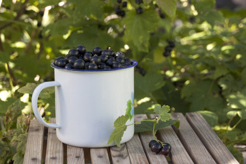 Black currant in blue enameled mug on a bench