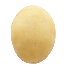 potato isolated on white background