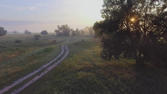 foggy road. River valley bent early morning fog clouds. yellow orange sunrise horizon. Aerial drone beautiful Ukraine nature landscape. Romantic cinematic mood