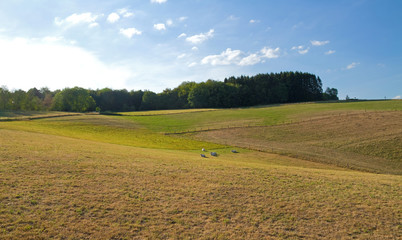 Naturlandschaft im Siegerland