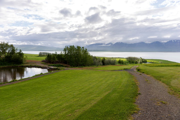 Path across the meadow to the fjord in Iceland