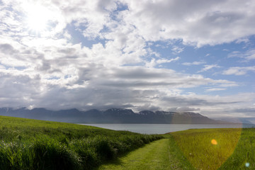 Path across the meadow to the fjord in Iceland