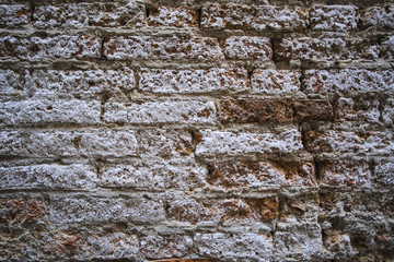 Background with the image of brick wall
