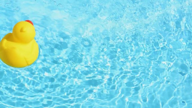 A yellow rubber duck floating relaxed and casually on the sparkling and crystal-clear water of a pool in summer light