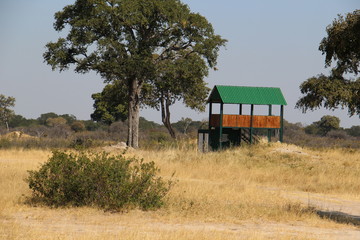 Observatoire d'animaux, Safari