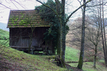 Fototapeta na wymiar Wooden hay huts or cabins are used for storing hay and food for the animals during the hard winter time in the Black Forest and are placed every 100 meters in that area near Baiersbronn