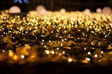 Light illumination on ground with Autumn leaves at Echizen Fukui Japan