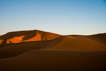 Fototapeta na wymiar Sand dunes in Sahara desert during the sunny day with the blue sky