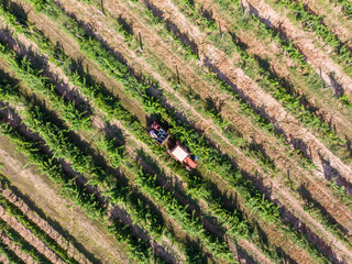 Tractor in vineyard