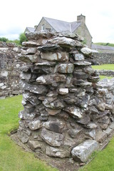 Strata Florida Abby