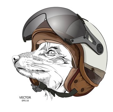 Image Portrait fox in motorcycle helmet. Vector illustration.