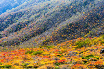那須岳の紅葉#2