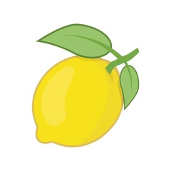 Lemon icon, Citrus fruit on white background
