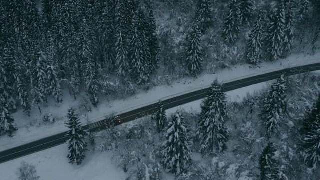 WS of a car driving through a snowy forest.