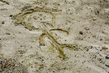 A funny little man, painted by the hand of a little girl on yellow river sand. Sand animation. The girl's hands are drawing.