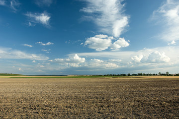 Plowed field, trees on the horizon and white clouds in the blue sky