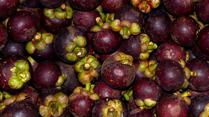 Group of Mangosteen