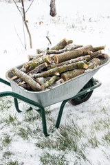Winter preparation. The cart with firewood. The trolley is fully looded with firewood close-up