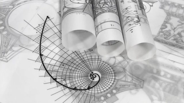 rolls of blueprints - drawing of the golden section and drawings of antique decorative elements of architectural orders / seamless looping