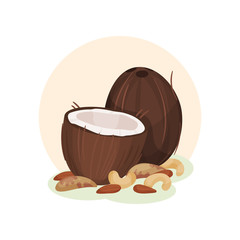 Flat vector illustration of whole and broken coconut, cashew and peanuts. Organic and healthy products. Natural and tasty food