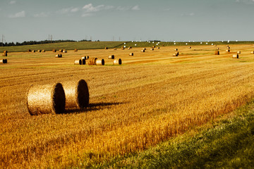 Hay bales on field in summer day.