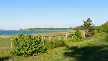 Vogelschutzgebiet am G&uuml;lper See im Naturpark Westhavelland mit Blick auf den Gollenberg