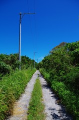 Fototapeta na wymiar 沖縄県の砂利道