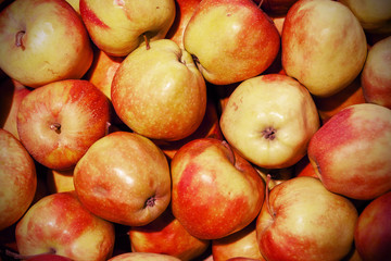 Fresh apples spread out an even layer as a background.