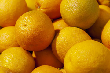 Fresh Mandarins spread out evenly in the shop window.