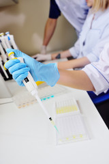 A scientist in a medical laboratory with a dispenser in his hands is doing an analysis