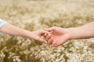 partial view of lovers holding hands with wild flowers on background