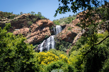 Obraz premium Wodospad w Narodowym Ogrodzie Botanicznym Waltera Sisulu w Roodepoort w Johannesburgu