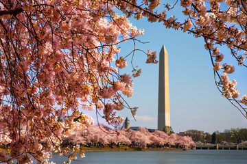 Tidal Basin