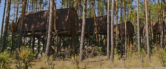 mehrere Baumhäuser in einem Wald