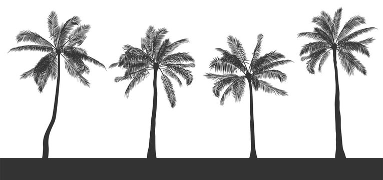 Palm Tree Stencil