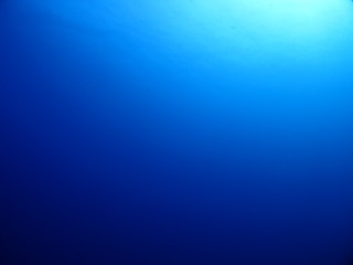 水中写真