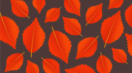 Autumn orange background with leaves. Modern pattern for shopping sale, promo poster or web banner. Vector illustration template.