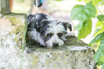 Fototapete bei efototapeten.de bestellen   