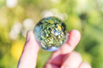 Fototapete bei efototapeten.de bestellen   