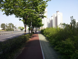 Fototapeta premium City Road with trees