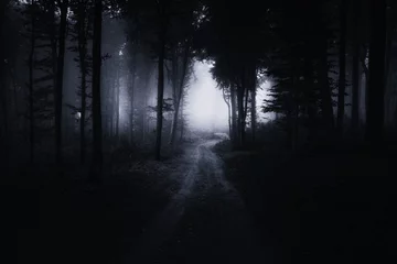 Gordijnen eng pad in donker bos & 39 s nachts, surrealistisch landschap © andreiuc88