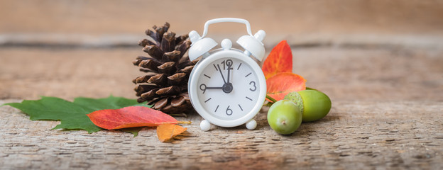 Back to school. Alarm clock, leaves and cones, September 1, banner