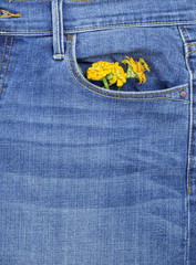 fragment of blue jeans with a bouquet of flowers in a front pocket