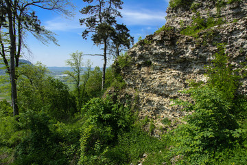 Ancient ruins of the castle of the town of Khust (Dracula Castle). a huge and powerful castle that...