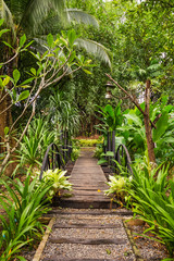 Wooden walkway in garden with green leaves