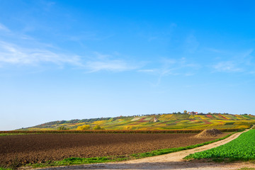 Rheinhessische Landschaft im Herbst